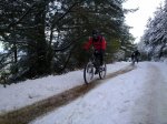 041220101383.jpg