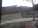 PICT5469.jpg