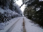 041220101381.jpg
