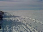DSC00217.jpg