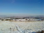 DSC00215.jpg