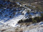 DSC00950.jpg