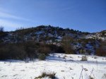 DSC00967.jpg
