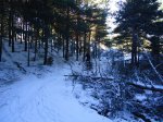 DSC00962.jpg