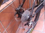 DSC08058.jpg