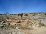 DSC00995.jpg