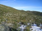 DSC00988.jpg