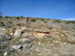 DSC00997.jpg