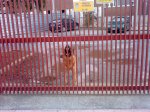 DSC03333.jpg