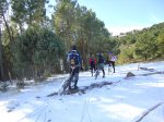 DSC00986.jpg