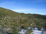 DSC00987.jpg