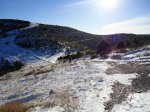 DSC00958.jpg