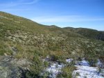 DSC00989.jpg
