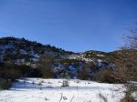 DSC00965.jpg