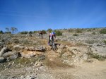 DSC00994.jpg