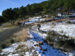 DSC00977.jpg