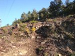 DSC05145.jpg