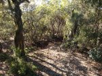 DSC05138.jpg
