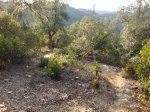 DSC05164.jpg