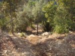 DSC05154.jpg