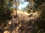 DSC05152.jpg