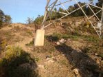 DSC05167.jpg