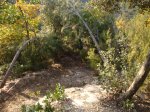 DSC05151.jpg