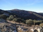 DSC05088.JPG