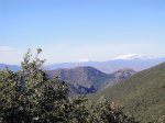 DSC05106.JPG