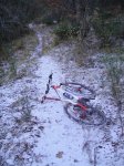 DSC05102.JPG