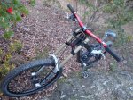 DSC05170.jpg