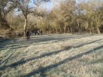 PC041377.jpg