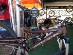 santa-cruz-butcher-weight-photos03[1].jpg