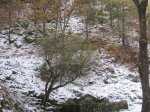 RUTA AL ALTO EL NOGAL Y AL REBOLLAL 4-12-2010 002.jpg