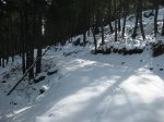 RUTA AL ALTO EL NOGAL Y AL REBOLLAL 4-12-2010 034.jpg