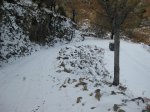 RUTA AL ALTO EL NOGAL Y AL REBOLLAL 4-12-2010 052.jpg