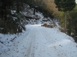 RUTA AL ALTO EL NOGAL Y AL REBOLLAL 4-12-2010 006.jpg