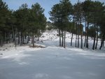 RUTA AL ALTO EL NOGAL Y AL REBOLLAL 4-12-2010 044.jpg