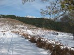 RUTA AL ALTO EL NOGAL Y AL REBOLLAL 4-12-2010 028.jpg