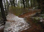 DSC01465.jpg