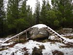 DSC01471.jpg