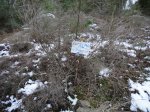 DSC01470.jpg
