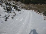 RUTA AL ALTO EL NOGAL Y AL REBOLLAL 4-12-2010 030.jpg