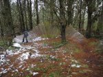 DSC01464.jpg