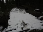 DSC01456.jpg