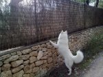 271120101089.jpg