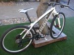 NINER 005.jpg