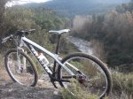 NINER 010.jpg