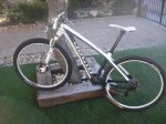 NINER 004.jpg