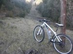 NINER 011.jpg